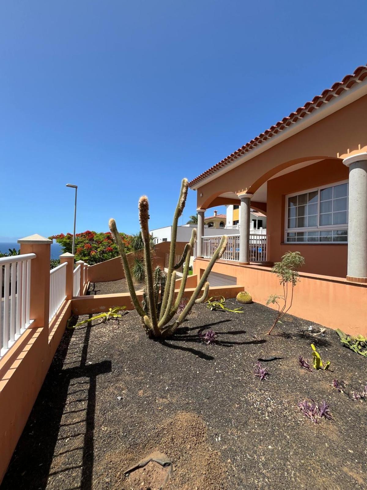 Chalet Piscina Privada Max 26º Jardin, Tranquilidad Caleta de Interian Exterior photo